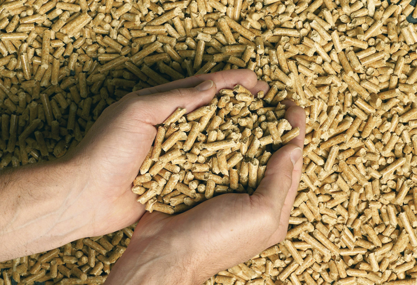 Énergie propre : Granulés de bois Pellets I Piveteaubois