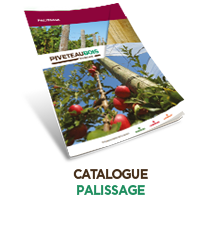 Catalogue Palissage