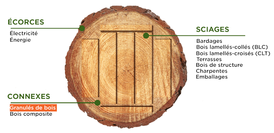 utilisation totale de la grume chez Piveteaubois