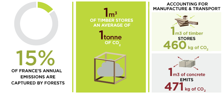 Infographic showing CO₂ storage of timber versus concrete and the carbon capture role of forests