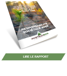Rapport RSE PIVETEAUBOIS 2025